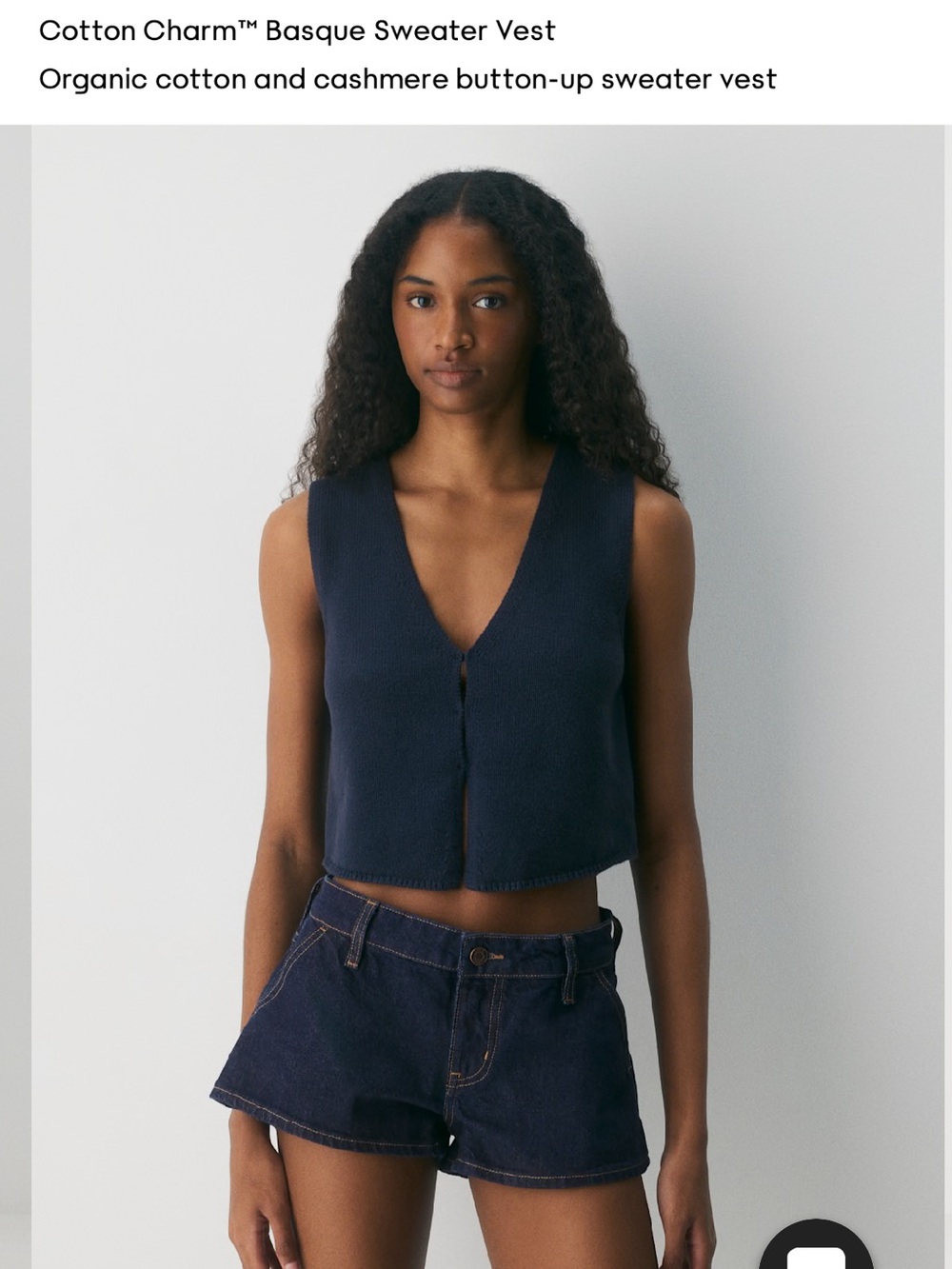 Aritzia Basque Sweater Vest - Navy